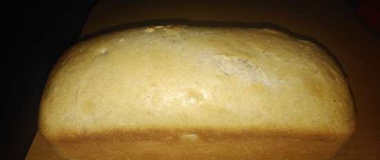 Pan de trigo con masa madre de centeno