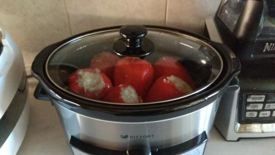 Slow cookers: model selection, features, reviews