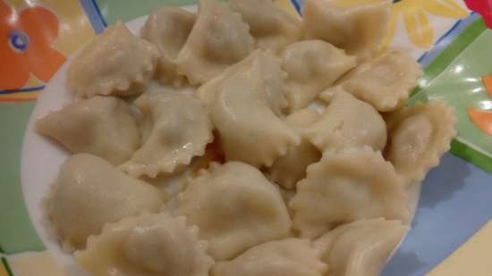 Dumplings en dumplingsvorm