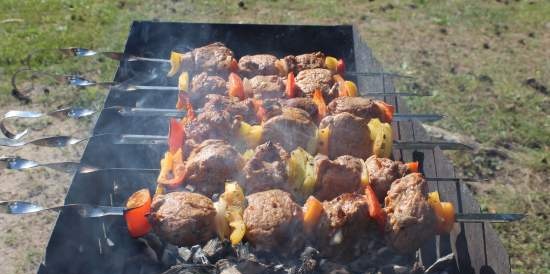 Shashlik Dym'OK