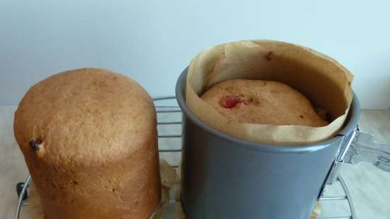 Kulich with Myasoedovskaya in the oven (master class)