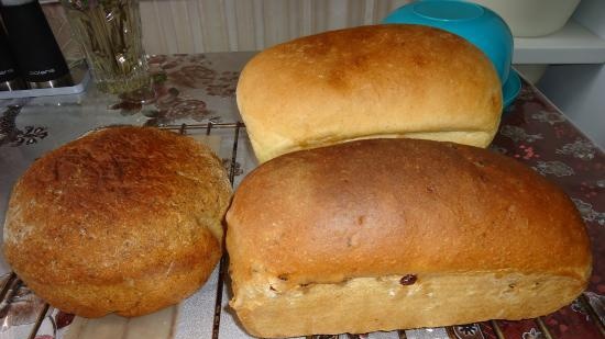 Hornos de convección Gemlux