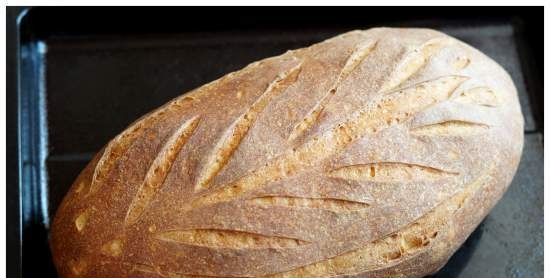 Pane alla birra con orzo tostato secondo la ricetta del libro Pane. Tecnologia e formulazioni di J. Hamelman