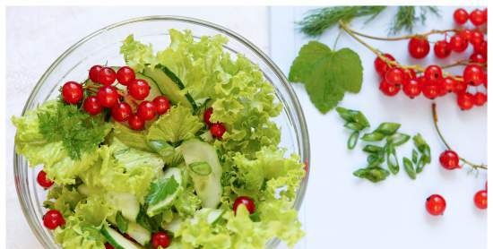 Ensalada de verduras con grosellas rojas