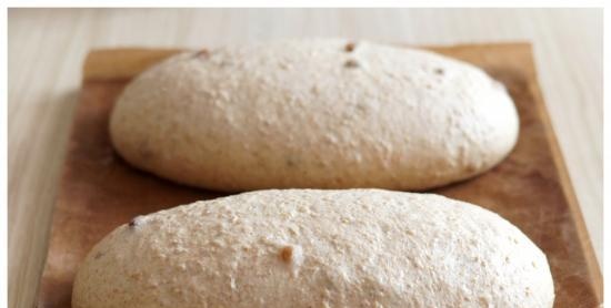 Pane d'avena con cannella e uvetta secondo la ricetta del libro Pane. Tecnologia e formulazioni di J. Hamelman