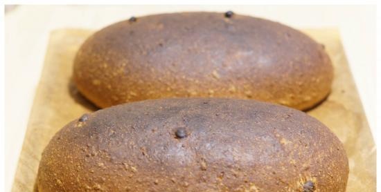 Pane d'avena con cannella e uvetta secondo la ricetta del libro Pane. Tecnologia e formulazioni di J. Hamelman