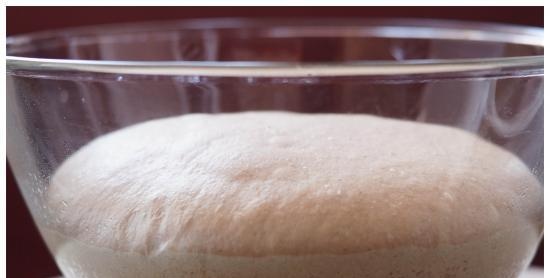 Pane di segale e grano su pasta acida