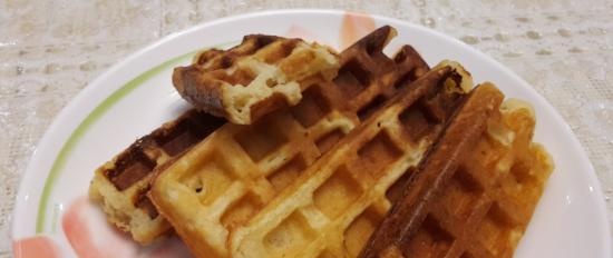 Wrongelwafels van I. Lazerson in een wafelijzer Gfgrill GF-020 Waffle Pro