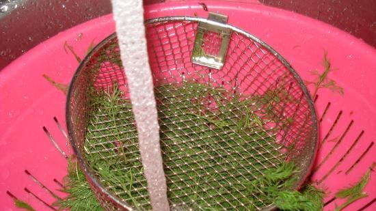 Preparación de albóndigas y no solo en moldes de hielo de silicona