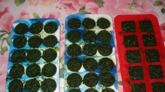 Preparation of meatballs and not only in silicone ice molds