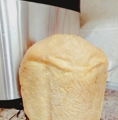 Pane italiano Ciabatta "pigro" (macchina per il pane)