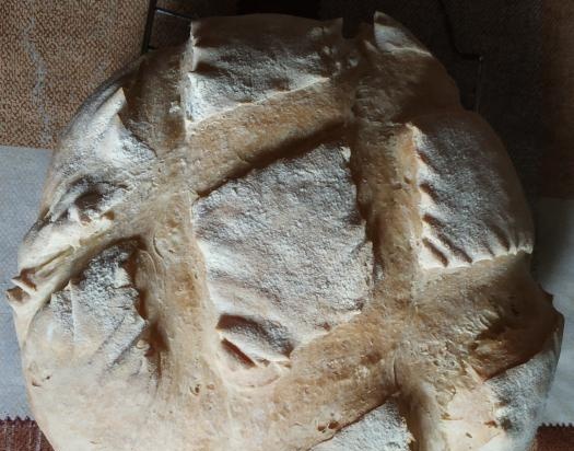 Pane di grano su pasta matura (autolievitazione)