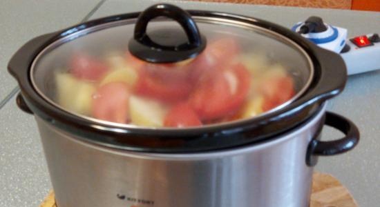 Slow cookers: model selection, features, reviews