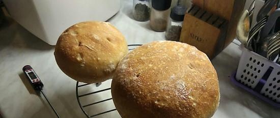 Pain de Campagne di Peter Reinhart (forno)