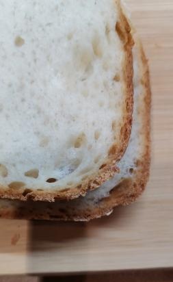 Pane di frumento con lievito naturale di segale