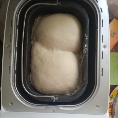 Saratov bread in the Gorenje BM1600WG bread maker