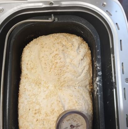 Saratov bread in the Gorenje BM1600WG bread maker