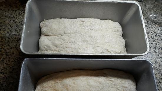 Pane a lievitazione naturale Levito Madre