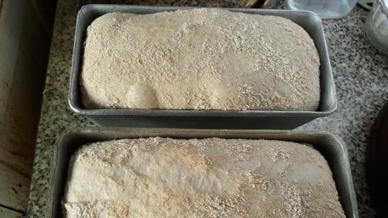 Pane a lievitazione naturale Levito Madre