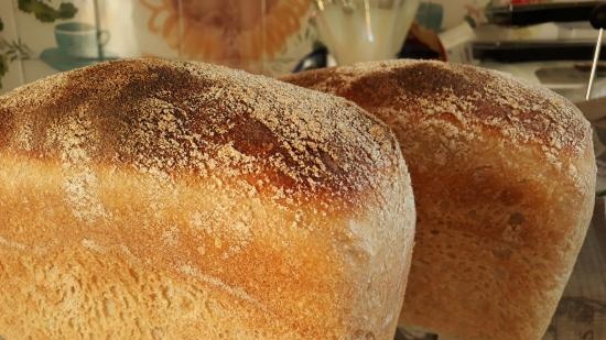 Pane a lievitazione naturale Levito Madre