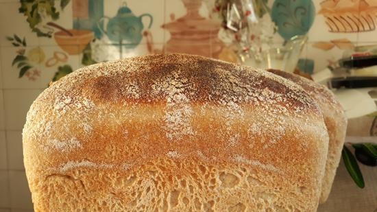 Pane a lievitazione naturale Levito Madre