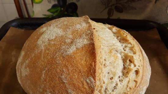 Pane a lievitazione naturale Levito Madre