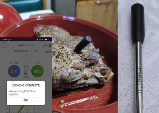 Revizuirea și testarea sondei cu termometru pentru carne fără fir Bluetooth Meat ° it