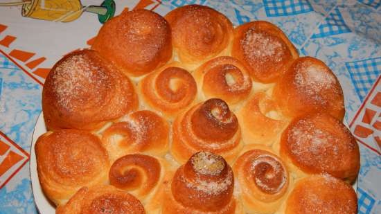 Pane tostato fatto in casa Cloud