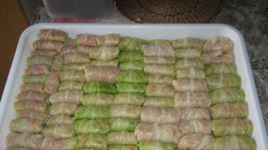 Cabbage rolls