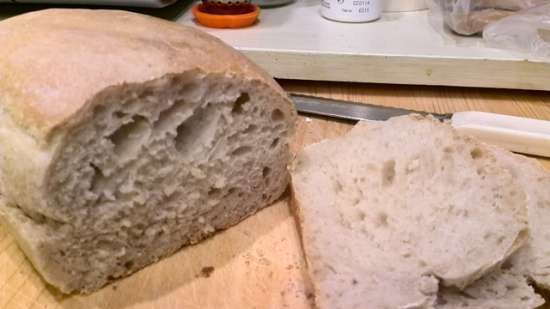 Pane a lievitazione naturale (forno)