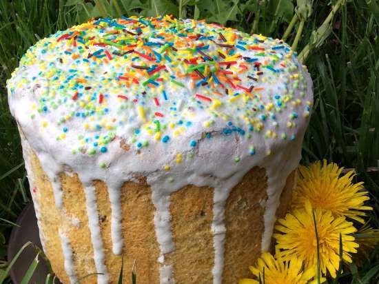 Kulich con Myasoedovskaya en el horno (clase magistral)