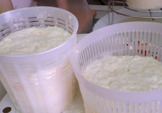 Ricotta a casa