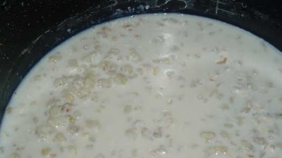 Milk perlas barley porridge sa pressure cooker na Oursson 4002