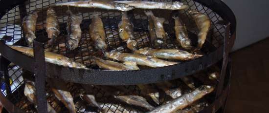 capelin รมควันในน้ำมัน a la sprats