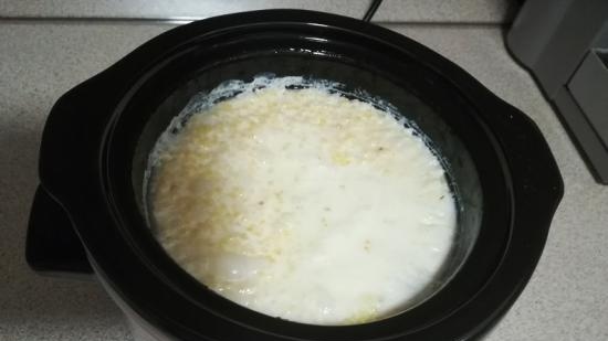 Gierstpap met onverdunde melk in een slowcooker KT205