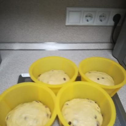 Kulich with Myasoedovskaya in the oven (master class)