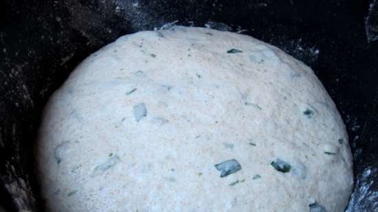 Pane alle alghe di R. Bertine (forno)