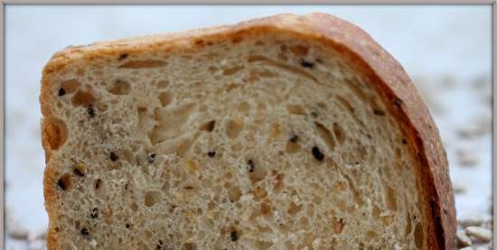 Pan bread with flax, sunflower and sesame seeds from Frederic Lalo