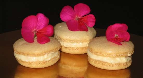 Macarons de Alain Ducasse