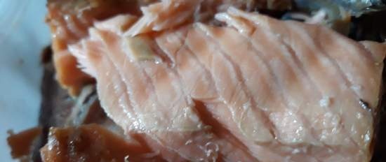 Fűszeres coho lazac, szárított a la sous-vide