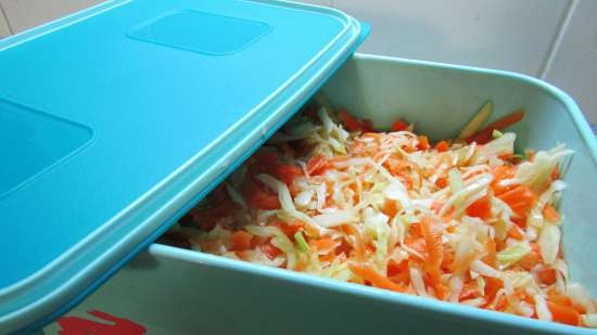 Plastic schalen Tupperware - beoordelingen