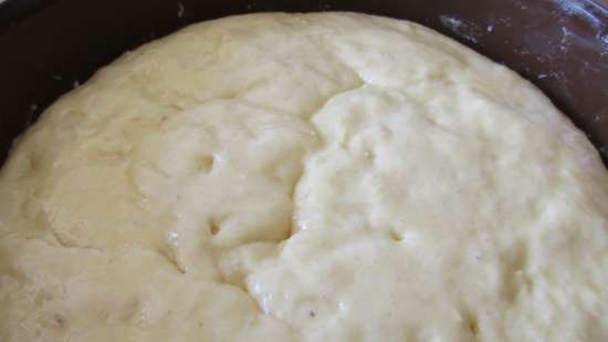 Kuchen con migas de almendras