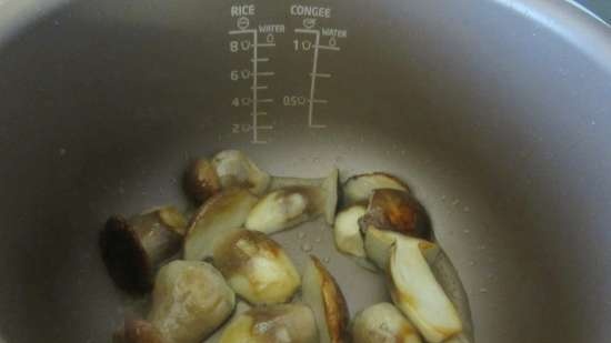 Roast with porcini mushrooms in the Philips HD3036 multicooker