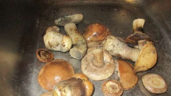 Boletus boletus voorbereiding voor verder gebruik