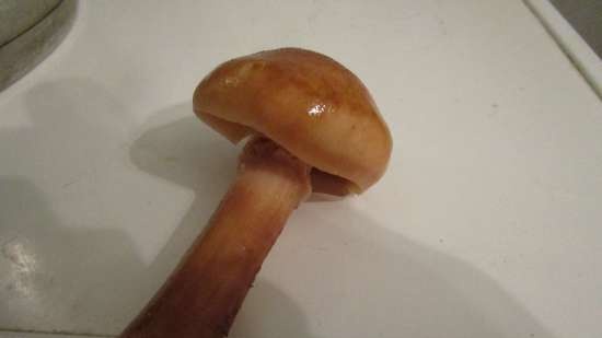 Prelucrarea primară a agaricului de miere