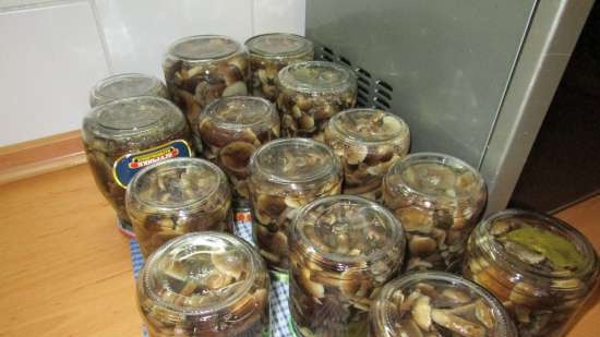 Primary processing of honey agaric