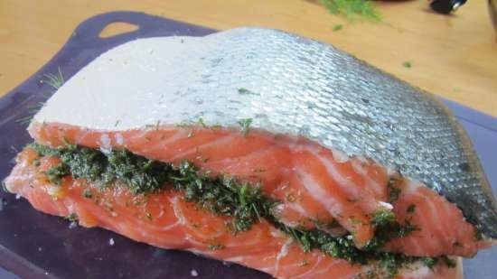 Gravlax of licht gezouten zalm