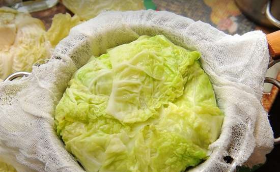 Cabbage for the president