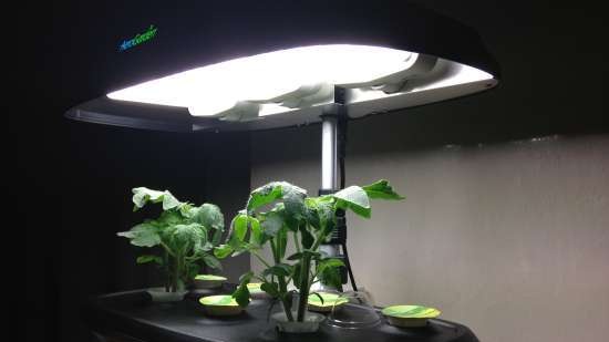 Aerogarden - สวนในร่ม