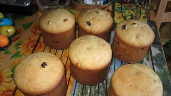 Kulich con Myasoedovskaya en el horno (clase magistral)